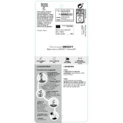 Framboisier Groovy®'Jdeboer005':pot 5L -VIDA Plantes Magasin 831270 1432924