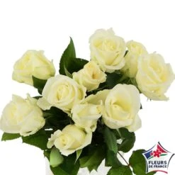 Botte 10 Roses ''Fleurs De France'' H.50cm Coloris Variables -VIDA Plantes Magasin 907464 001
