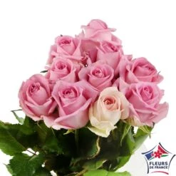 Botte 10 Roses ''Fleurs De France'' H.50cm Coloris Variables -VIDA Plantes Magasin 907464 003