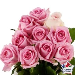 Botte 10 Roses ''Fleurs De France'' H.50cm Coloris Variables -VIDA Plantes Magasin 907464 004