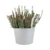 Pot En Zinc Avec Crochet Et Bruyère -VIDA Plantes Magasin 926780 001
