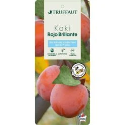 Kaki 'Rouge Brillant 1/2T Pot 15L -VIDA Plantes Magasin 952752 002