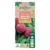 Pêcher Reine Des Vergers Bio, Gobelet 2 Ans -VIDA Plantes Magasin 952756 008