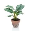 Emerald Calathea Orbifolia Artificiel Terra 32 Cm En Pot