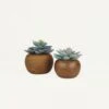 Succulente Artificielle Pot Bois 15cm Lot De 2 -VIDA Plantes Magasin b02c7544b4197045
