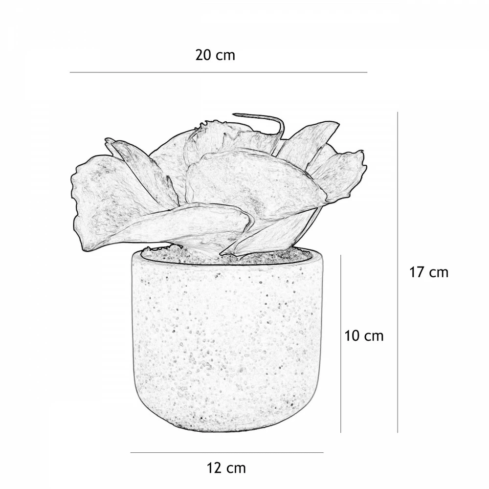 Succulente Artificielle Pot Effet Ciment 17cm 6 Succulente Artificielle Pot Effet Ciment 17cm – Image 4