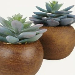 Succulente Artificielle Pot Bois 15cm Lot De 2 -VIDA Plantes Magasin b95dd14e3affb248