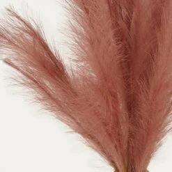 Plumeau Artificiel Terracotta 110cm Lot De 3 -VIDA Plantes Magasin c4332bdda24780af