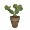 Opuntia Microdasys Et Son Cache-pot Marron - H40cm, ø17cm - Plante D'intérieur -VIDA Plantes Magasin d56a6bc0eec02fda