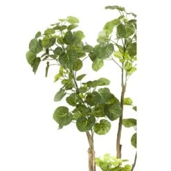 Emerald Arbre Polyscias Artificiel 135 Cm 420292 6 Emerald Arbre Polyscias Artificiel 135 Cm 420292 -VIDA Plantes Magasin e080ea7f73e7b962
