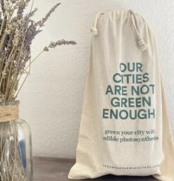 Kit Prêt à Planter - 3 Feuilles -VIDA Plantes Magasin ea572adcd263b51f