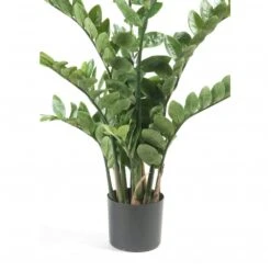 Emerald Zamioculcas Artificiel Vert 110 Cm 11.662c -VIDA Plantes Magasin fb433d9acae0b9bb